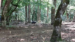 Campo Estivo 2023