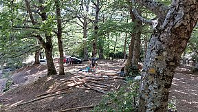 Campo Estivo 2023
