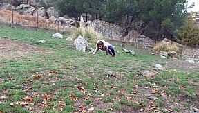 Campo Invernale 