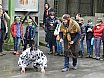 Piccole Tracce di farina 2016 (Regalbuto)