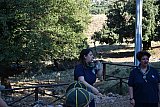 Campo Estivo 2022