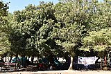 Campo Estivo 2022