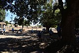 Campo Estivo 2022