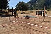 Campo Estivo 2022