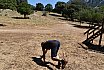 Campo Estivo 2022