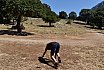 Campo Estivo 2022