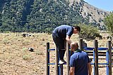 Campo Estivo 2022