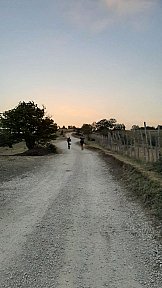 Route Estiva 2021