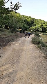 Route Estiva 2021