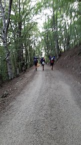 Route Estiva 2021