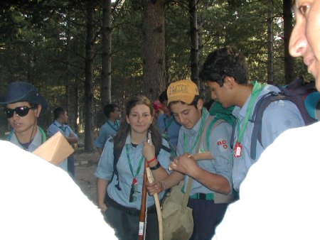 Click to see next picture