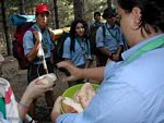 Click to see big picture (450x338 pixels; 39 KB)