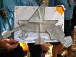 Click to see big picture (450x337 pixels; 49 KB)