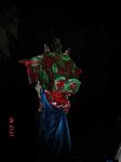 Click to see big picture (338x450 pixels; 13 KB)