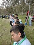 Click to see big picture (338x450 pixels; 42 KB)
