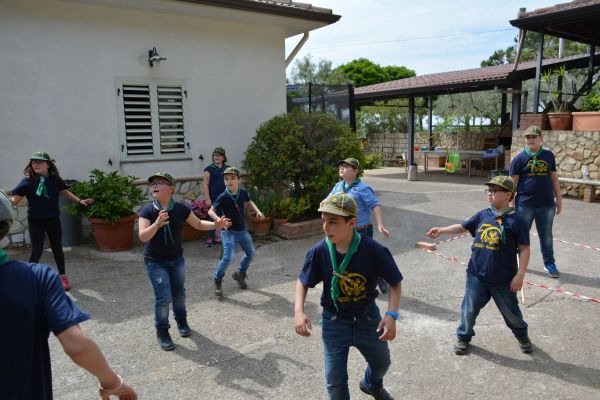 dsc-016316B95335-ABD7-E3A6-3AC4-29DE19522A0C.jpg