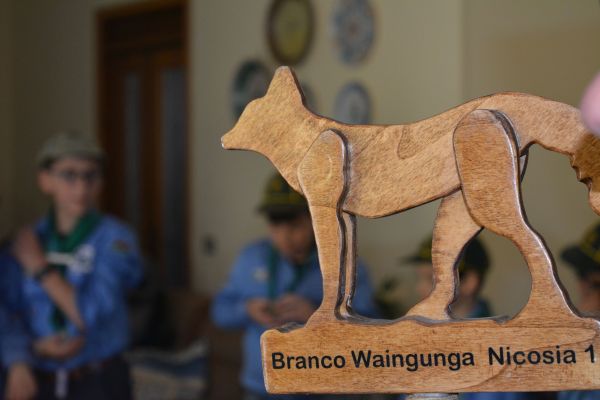 dsc-0209681AF729-8867-F9F3-BC6C-CDE49F2EBA03.jpg