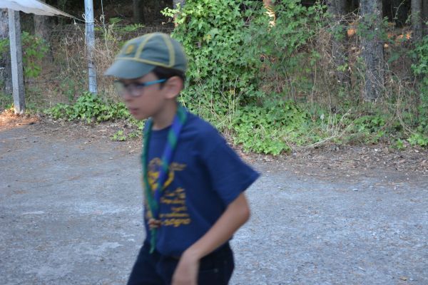 dsc-05546EC17A70-9686-B55B-D17F-9283DA3207D7.jpg